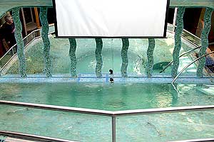 зеркальная стена в бассейне