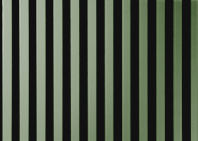 цветное зеркало с рисунком зебра, цвет зеленый, фото